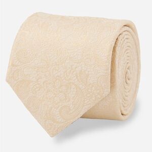 NWT Ceremony Paisley Light Champagne Tie
